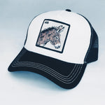 Donkey - Mesh Hat - Ahead Outdoor